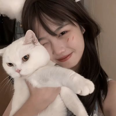 天天中彩票下载手机版